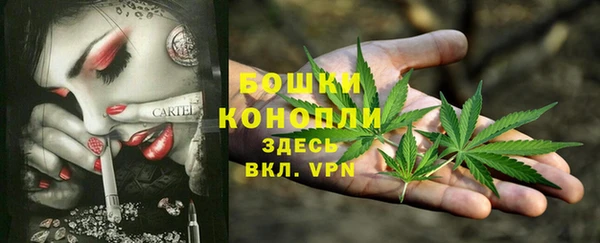 mdpv Волоколамск